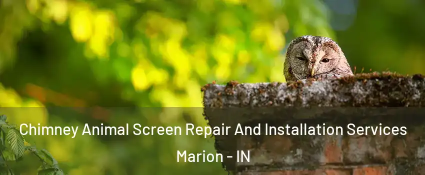  Chimney Animal Screen Repair And Installation Services Marion - IN