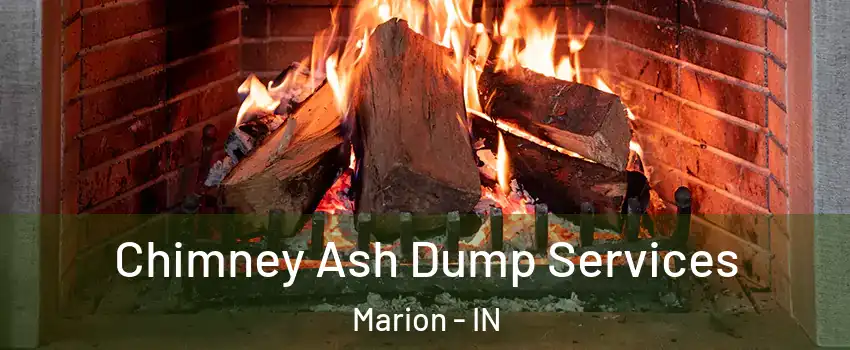  Chimney Ash Dump Services Marion - IN