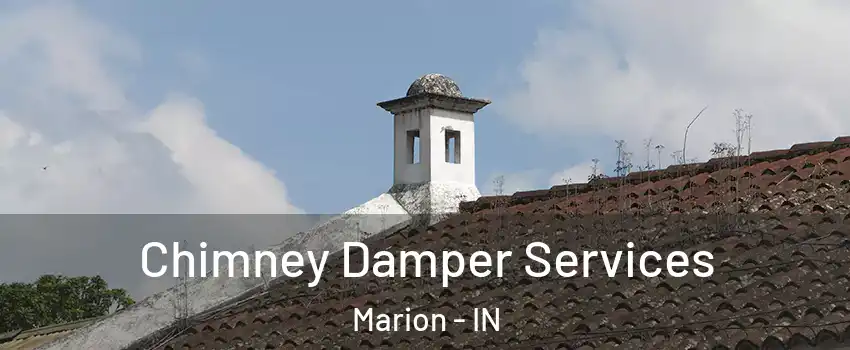  Chimney Damper Services Marion - IN