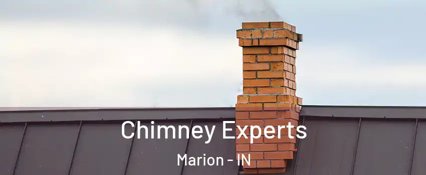 Chimney Experts Marion - IN