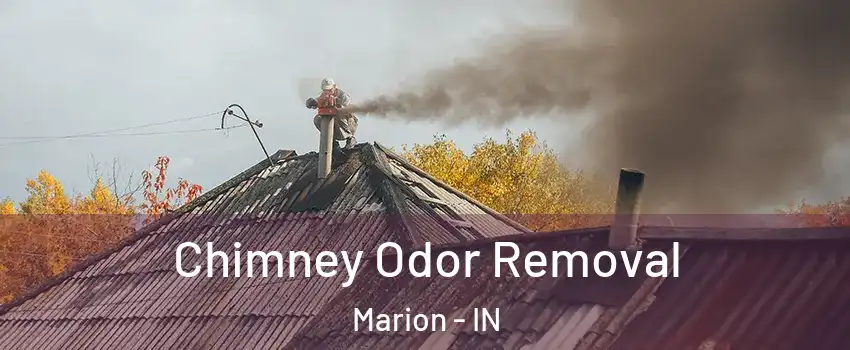  Chimney Odor Removal Marion - IN