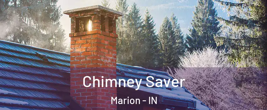  Chimney Saver Marion - IN