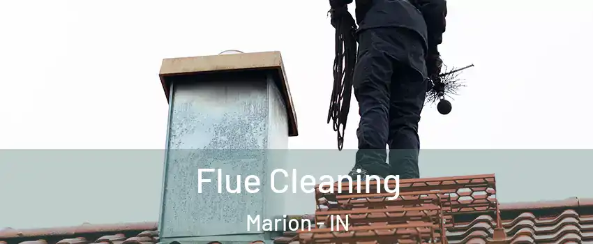  Flue Cleaning Marion - IN