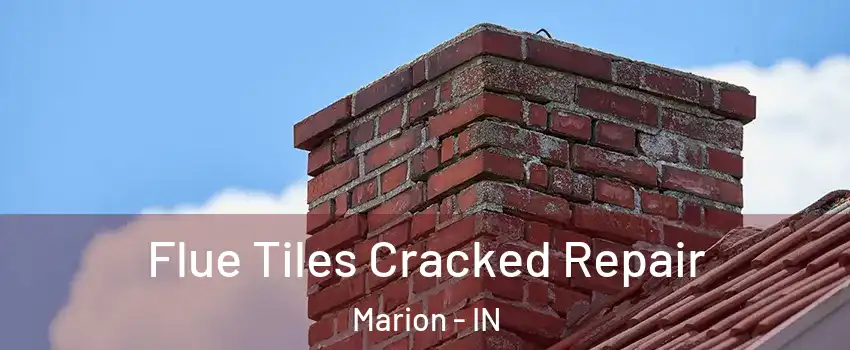  Flue Tiles Cracked Repair Marion - IN