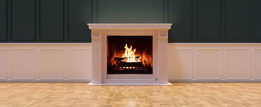 Napoleon Electric Fireplaces Inspection Service in Marion, Indiana