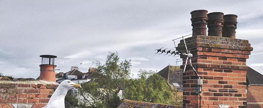 Chimney Cleaning And Restoration in Marion, Indiana