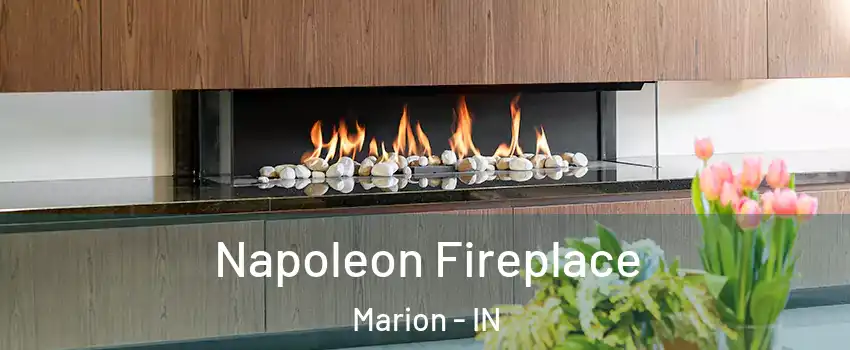  Napoleon Fireplace Marion - IN