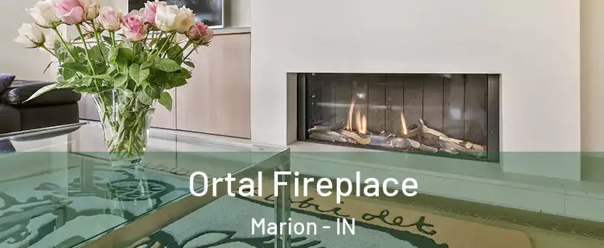  Ortal Fireplace Marion - IN